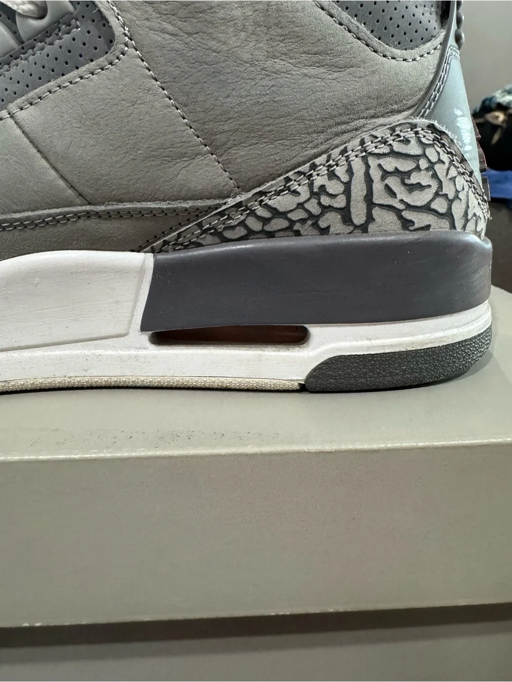 Air Jordan 3 “Cool Grey” CT8532-012 Size 9.5 USED